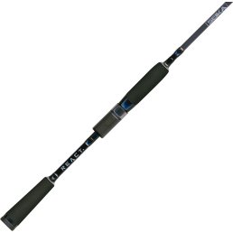 Seika Pro React Spinnrute 258 H Zander