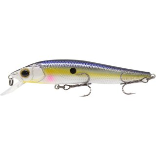 Seika Pro Veitwitch Junior Ablette