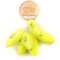 Spro Trout Master Rugby Pilots Yellow 12 x 26 mm