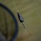 Preston Inline Olivettes 5,0 g