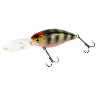 Wobbler Kobe Goby