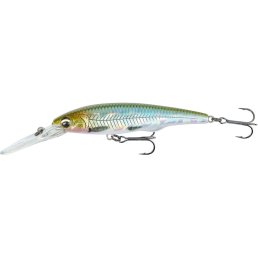 Savage Gear Gravity Twitch DR 11,5 cm Hot Matt Roach