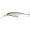 Savage Gear Gravity Twitch DR 11,5 cm Hot Matt Roach