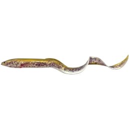 Savage Gear Real Eel 30 cm Champion Eel