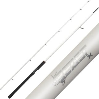 Abu Garcia Beast X2 Trolling