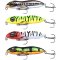 Spro Iris WalkR Hardlure