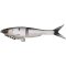 Berkley Powerbait Nessie 12 cm Roach