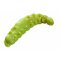 Berkley Powerbait Power Honey Worm Sparkle