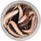 Berkley Powerbait Power Honey Worm Grey / Pearl