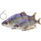 Savage Gear 3D Line Thru Roach