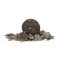 Avid Carp B8-Up Fish 20mm