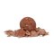Avid Carp B8-Up Spice 20mm