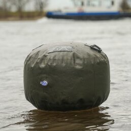 Black Cat S Buoy
