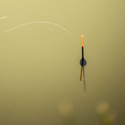 Preston Olive Pole Float