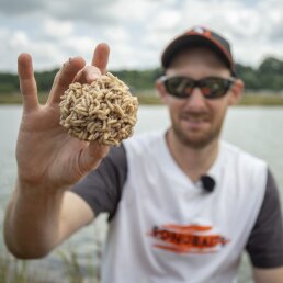 Sonubaits Maggot Glue