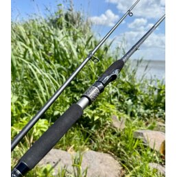 Seika Pro Artemis Mark II SP 2,52 m / 8 - 50 g