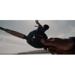 Penn Squall Low Profile Reel