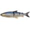 Savage Gear 3D Line Thru Whitefish 36cm