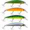 Zebco Demonic Shad