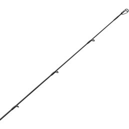 FTM Sea Trout