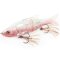 Molix Glide Bait 178 by Baroni Baits