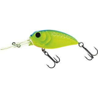 Molix Sculpo DR Silent MX Blue Back