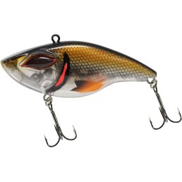 JustPro Belly 70 Brown Shiner