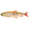 Savage Gear 3D Line Thru Whitefish 17 cm Golden Albino