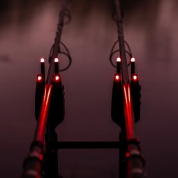 Avid Carp VTX+ Illuminated Snag Ears