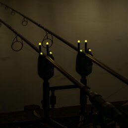 Avid Carp VTX+ Illuminated Snag Ears