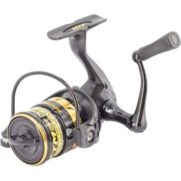 FTM Rolle Chara 2000