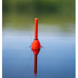 Zebco After Dark Allrounder Snap Light Float 2 g