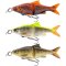 Savage Gear 3D Line Thru Glide Roach