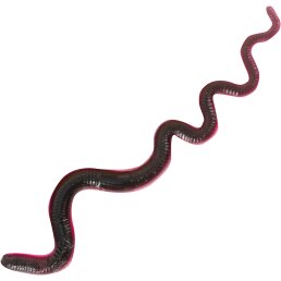 FTM Omura Baits Snaky Schwarz / Dunkelpink