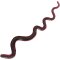 FTM Omura Baits Snaky Schwarz / Dunkelpink