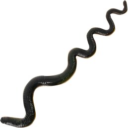 FTM Omura Baits Snaky Schwarz / Ocker