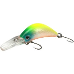 FTM Masu Security Regenbogen