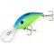 Black Cat Cranker special green