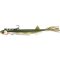 Quantum Pelagic Shad Set Hairy game over