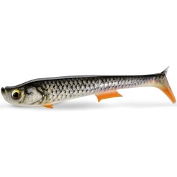 Quantum Tarp Shad 16 cm real roach