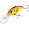 Black Cat Baby Cranker yellow zombie