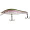 Zebco Gitec Zander rainbow trout