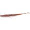 Quantum Q-Fish 13 brownie