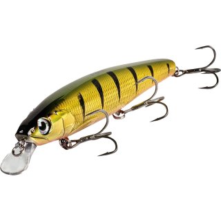 Quantum 4street Bangry Zander Perch