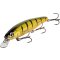 Quantum 4street Bangry Zander Perch