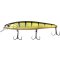 Quantum 4street Bangry Zander Perch