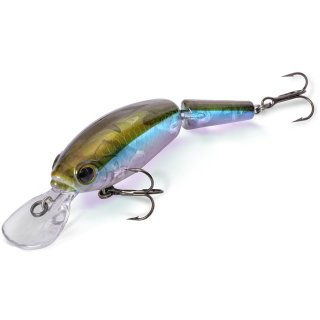 Quantum Jointed Minnow Real Shiner