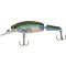 Quantum Jointed Minnow Real Shiner