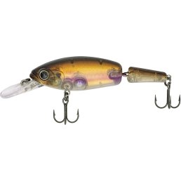 Quantum Jointed Minnow Sand Goby