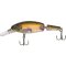 Quantum Jointed Minnow Sand Goby